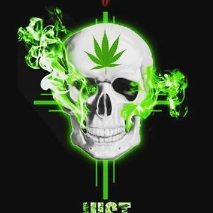 Meet your Posher, Donnivan